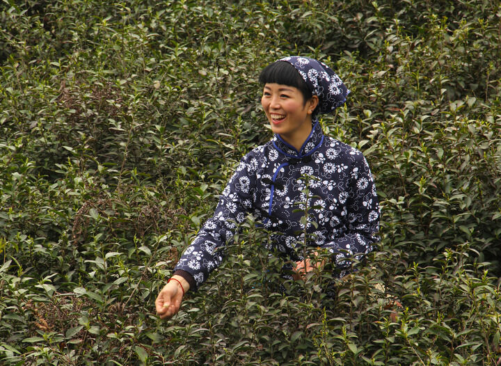 超模直播热门7